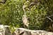 birds photography