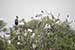 birds photography