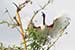 birds photography