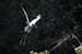 birds photography