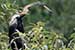 Birds Photography-Copyright © 2011 Dewakar Chandran birds photography