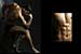 Athlete’s well toned body