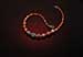 jewellery photography