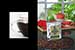 products-photography_ products-photography